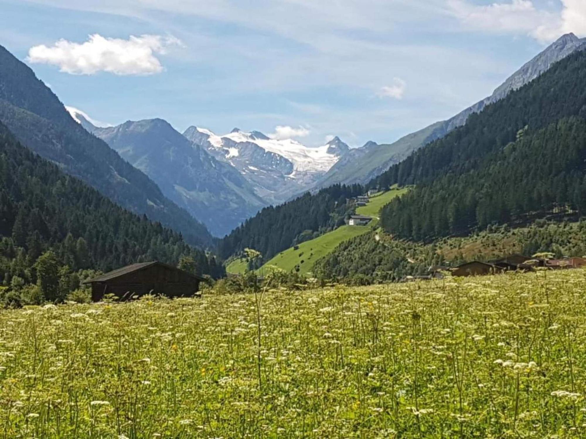 In Neustift In A Quiet Location *