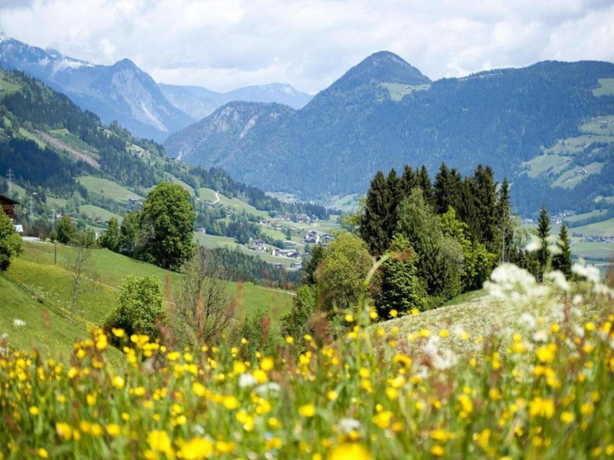 In Neustift In A Quiet Location Neustift im Stubaital